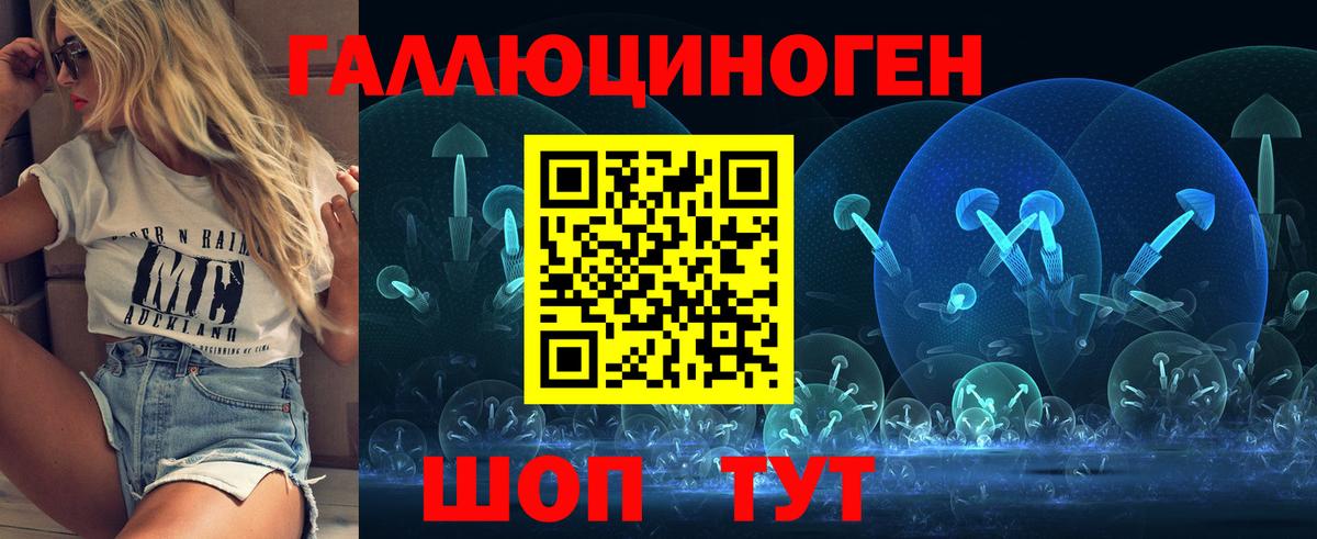 Псилоцибиновые грибы Psilocybe Армавир