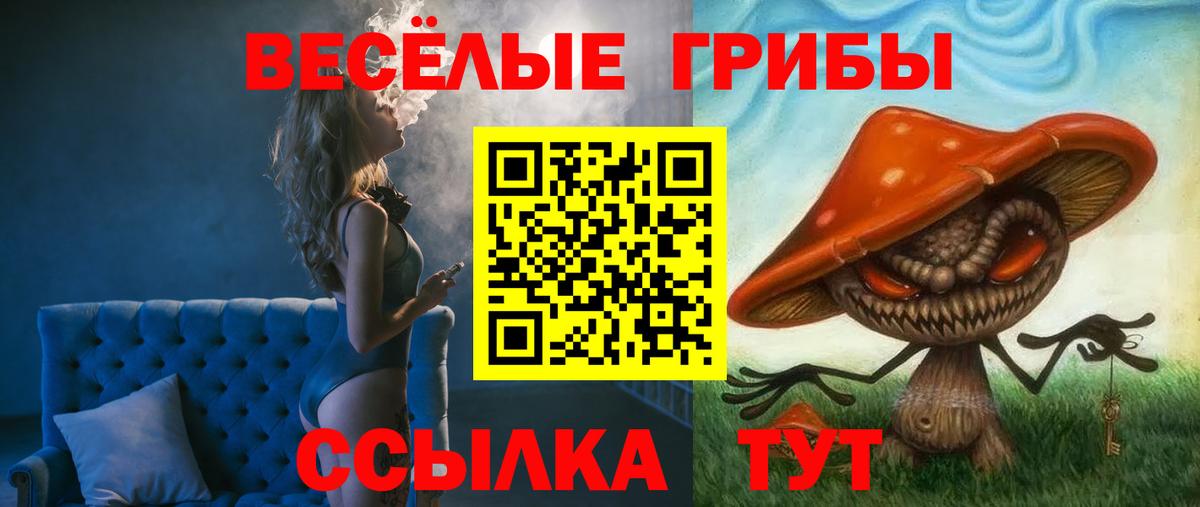 Армавир  Галлюциногенные грибы MAGIC MUSHROOMS  Вход с VPN  Псилоцибиновые грибы Magic Shrooms 